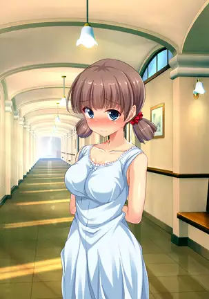 Bou YariCir Kanzen Kanshuu - Shinnyuusei no Pakorikata Manual