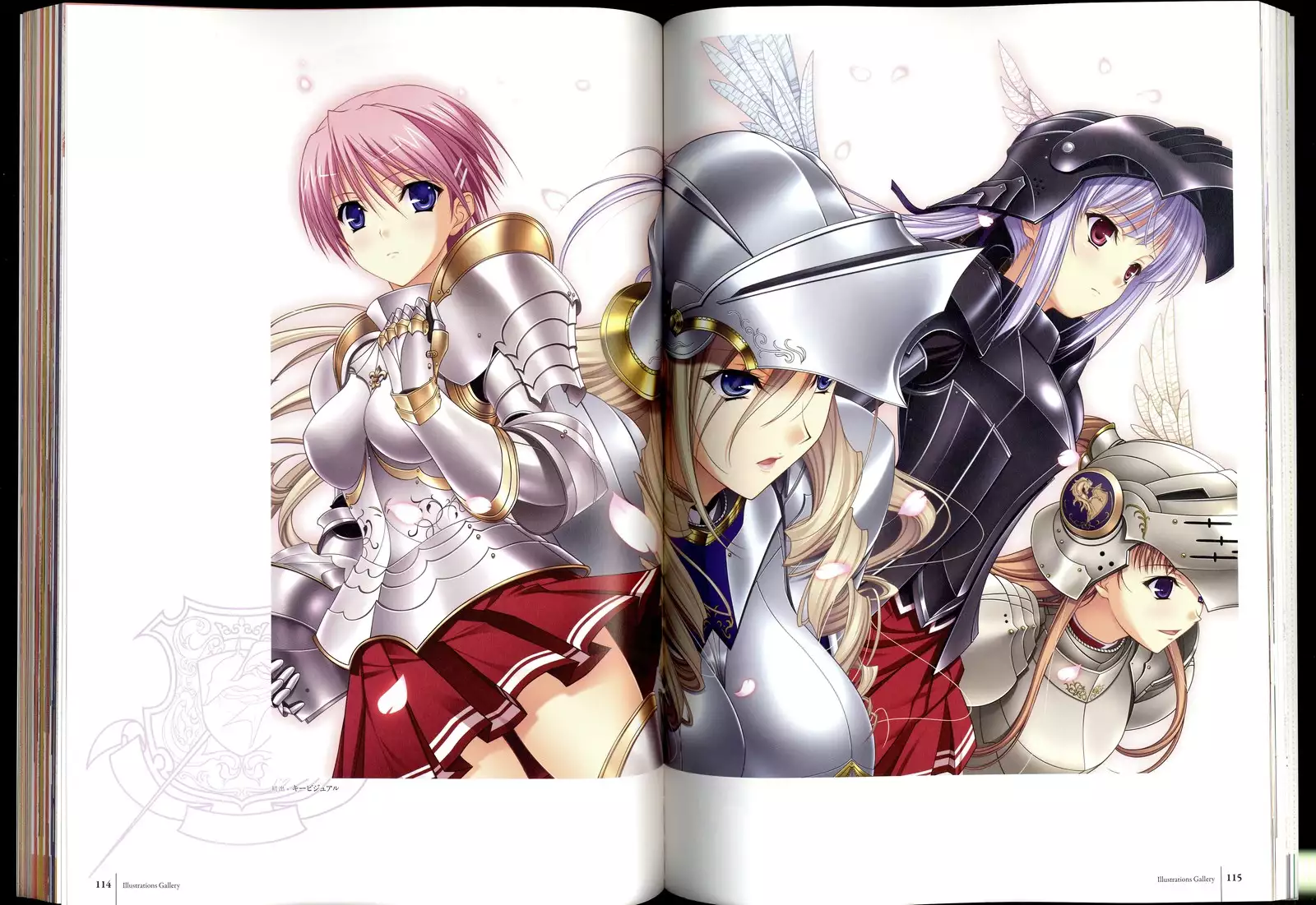 Walkure Romanze Visual Fanbook