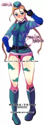 (C79) [Sarurururu (Doru Riheko)] Mona-Lisa Overdrive (Street Fighter)