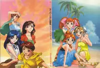 Super Real Mahjong Visual Fan Book Perfect Collection