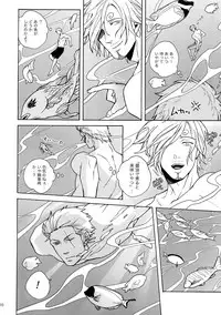 (C88) [Kyozoya (Kunoichi)] GINGER (One Piece)