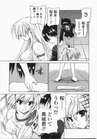 [Hirokawa Tomo] Cherry Concerto