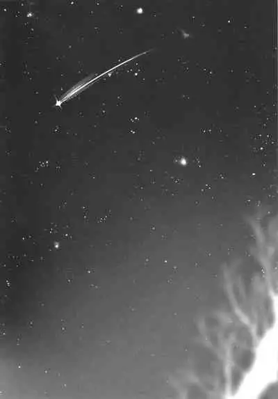 Daremo shiranai yume o miyou