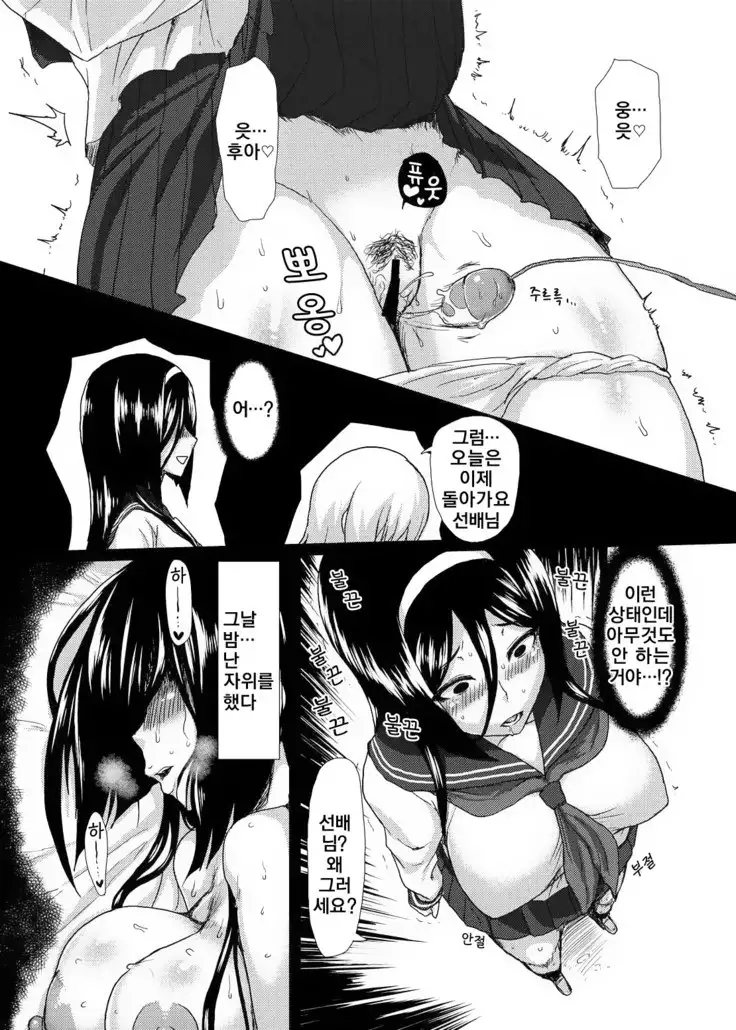 Welcome to IRISU FESTA!