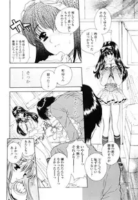 [Shimao Kazu] Flower