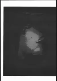 (C63) [Yajuu Kazoku (Masaki Hikoichirou, Mitsuki Rintarou, Tsukasa Ningyou)] BERSERK BOOK (Berserk)