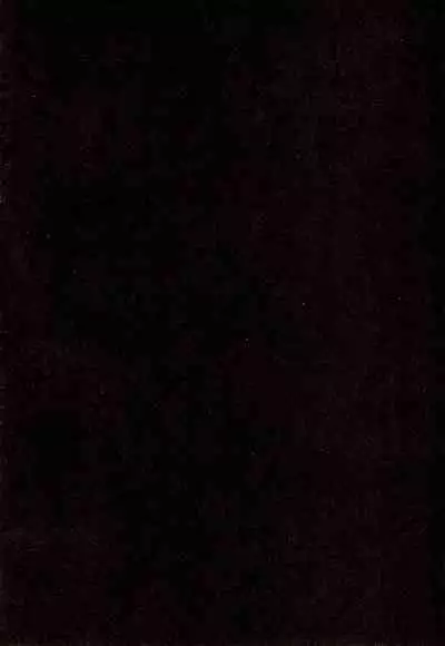 Kinrou Shourei Gohoushi JS Chiiki Kouryuu Seido