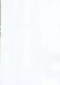 (C88) [RUBBISH Selecting Squad (Namonashi)] RE 22 (Fate/Stay Night)