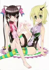 (C85) [Neku Irazu (Hinoki)] ShiraKiri (Senki Zesshou Symphogear)