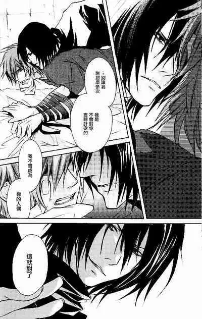 RAGDOLL | 破碎玩偶