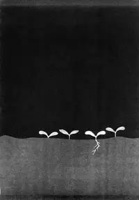 [Machida Hiraku] Tanpopo no Matsuri | Dandelion Festival Ch.01-03 [English] [SaHa]