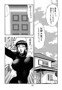 [Bijogi Junction (Bijogi Junction)] Hime Sakunyuu