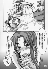 (C66) [Tougeyahonpo (Mutsuki Izumo)] Ousama no Kakushigoto. (Fate/stay night)