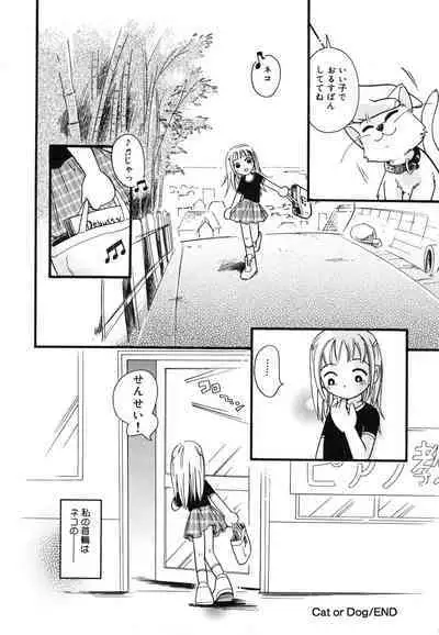 Hare Tokidoki Nurenezumi