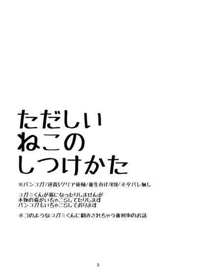 Tadashii ne Kono Shitsuke Kata