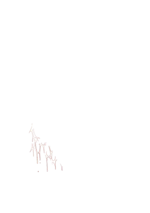 Yuuka-Chirabatta Daiyoukai no Kakera-