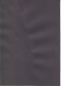 (C89) [Sunyiru (Shuurin)] Erichi Erichika (Love Live!)