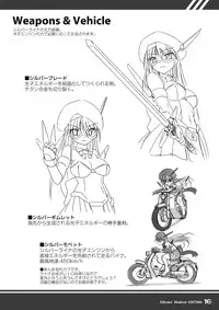 (C77) [Visual Biscuits (Tokihama Jirou)] Kagaku Touki Silver Raina Extra