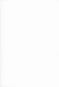 (C86) [Molotov Cocktail (Oowada Tomari)] Blade Blade VI (Queen's Blade)