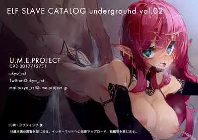 ELF SLAVE CATALOG UNDERGROUND Vol.02