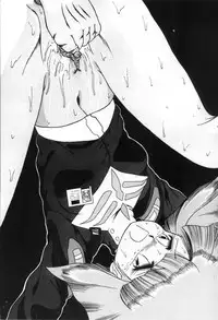 [D-Heiba] Cat's Mate RX