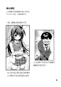 [Raspberry Gecko (Koisikawa Renzu)] School Mizu Riko no Shota Ijiri [Digital]