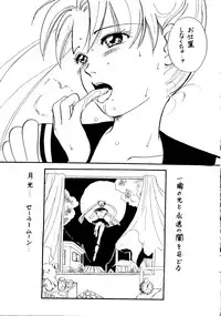 (C44) [GG3] GG3 SP 4 - Paradise City 2 (Sailor Moon)