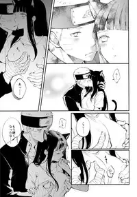 My Sweet Little Kitty